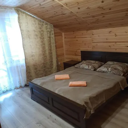 Pensionat Stari Druzy