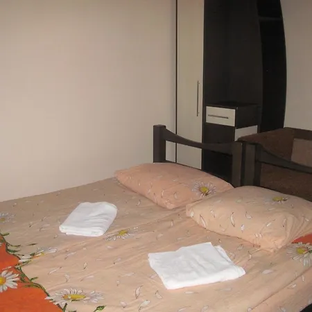 Pensionat Stari Druzy 3*