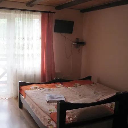 Stari Druzy Pensionat