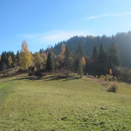 Stari Druzy 3* スラブスク