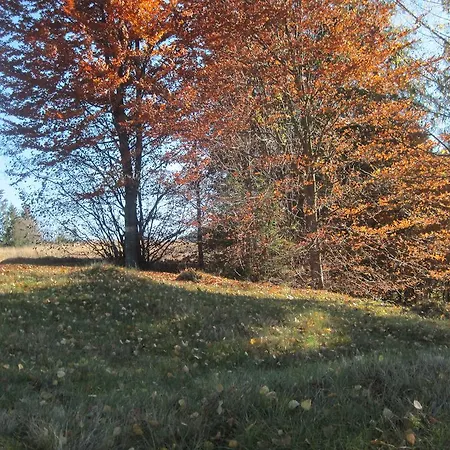 ゲストハウス Stari Druzy スラブスク