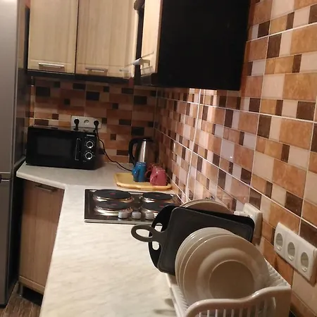 Stari Druzy 3* スラブスク