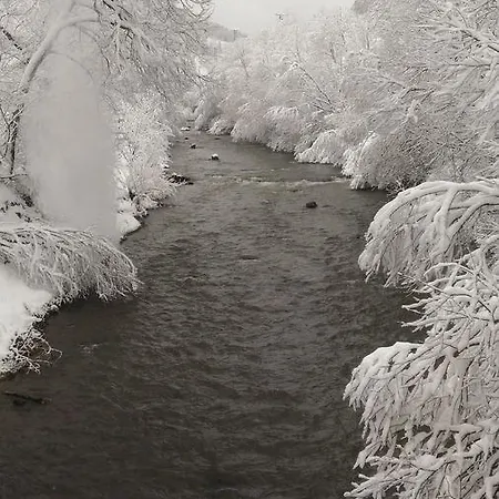 Pensionat Stari Druzy 3*